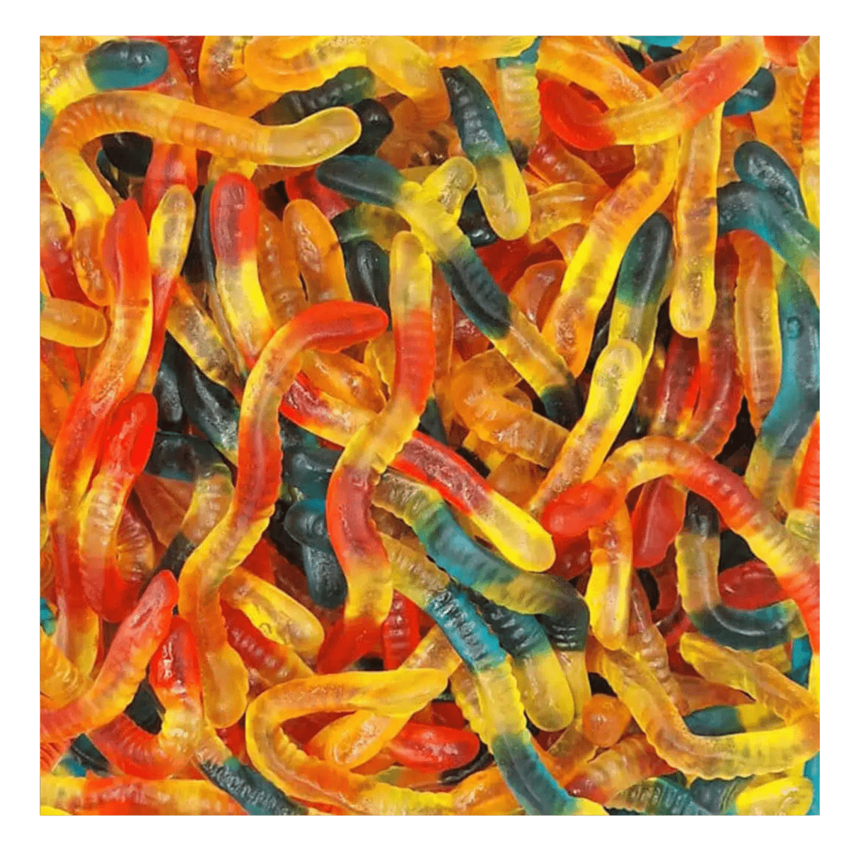 Jelly Snakes - Gummy Galaxy